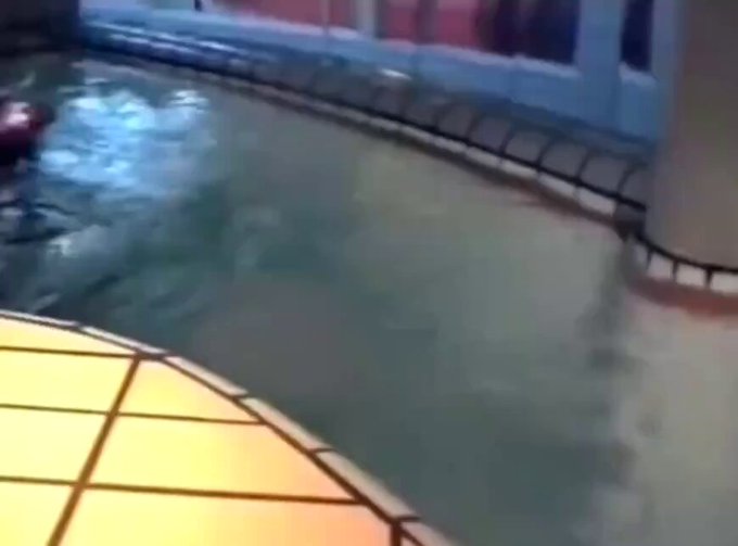 "The Fly Over" fue el primer (y último) tobogán completamente submarino del mundo en el parque de atracciones Duinrell, en los Países Bajos. Construido en 1994 y cesando sus operaciones en 2003, el bañista estaba sumergido en agua durante toda la duración del recorrido (15-20 segundos)
