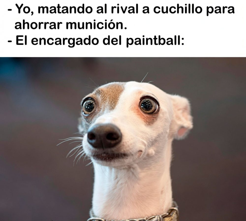 Buenos días.