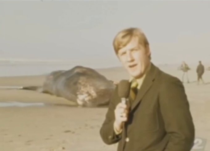 El 9 de noviembre de 1970, una ballena de 14 metros, de aproximadamente 8 toneladas, se quedó varada cerca de Florence en la costa de Oregón.