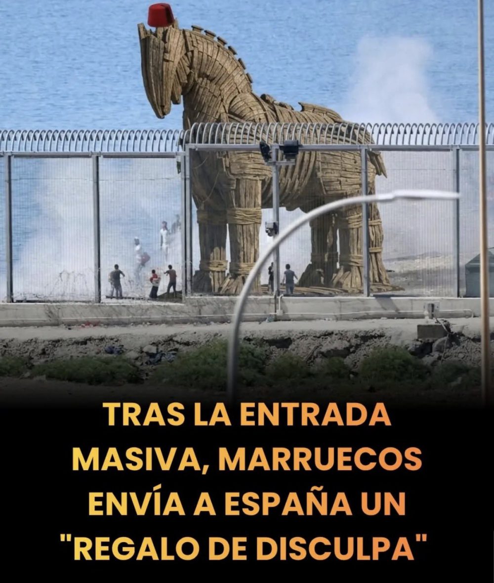 Vamos a pedir la opinión de esta chica que con ese outfit va a defender al gobierno ¿Qué podría salir mal?