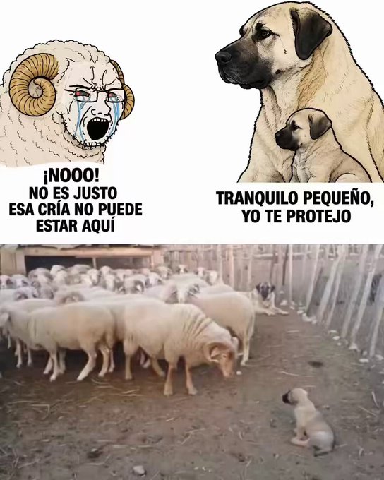 Y la autoridad se gana con vioIencia.