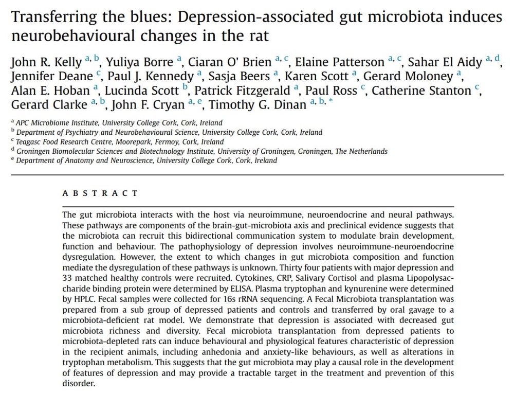 Si coges bacterias intestinales de personas con depresión y las introduces en ratas, esas ratas se deprimen.