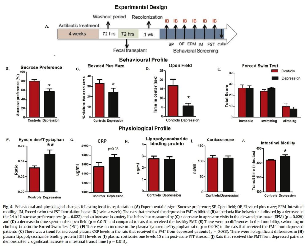 Si coges bacterias intestinales de personas con depresión y las introduces en ratas, esas ratas se deprimen.