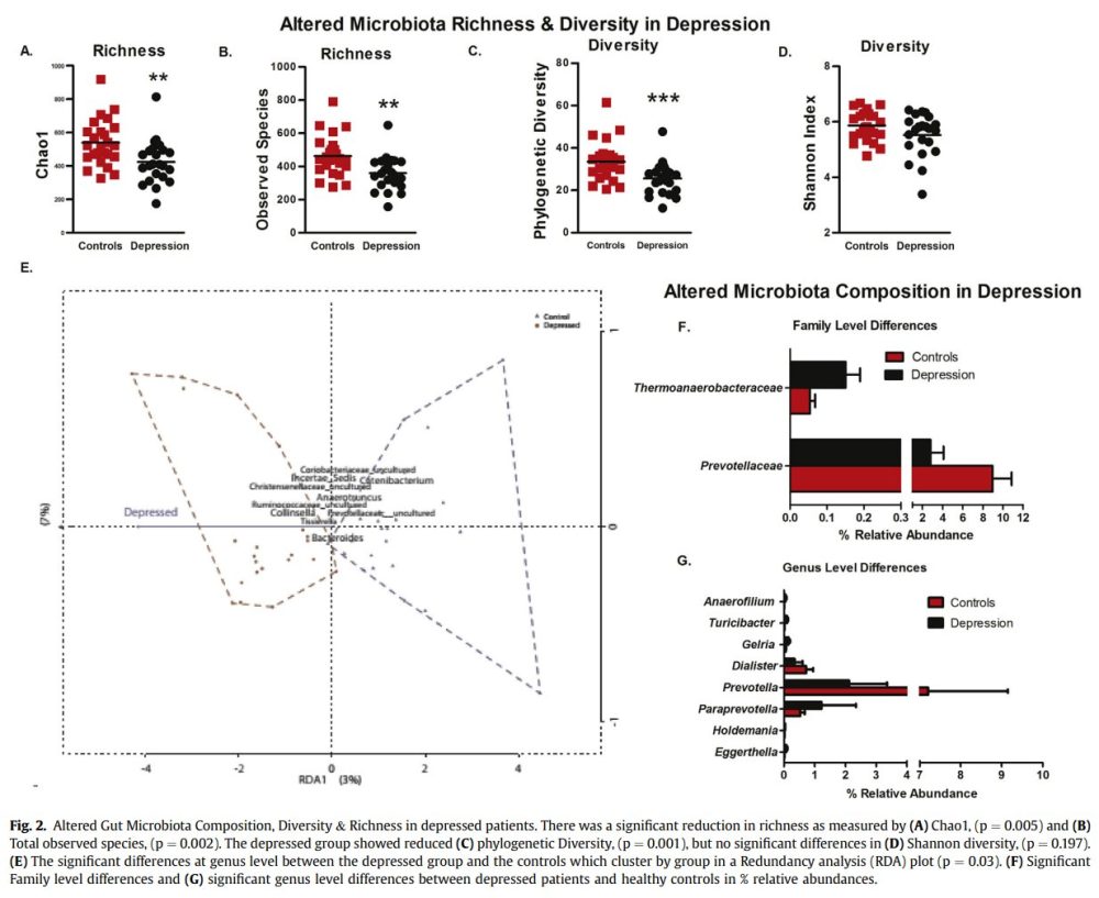 Si coges bacterias intestinales de personas con depresión y las introduces en ratas, esas ratas se deprimen.