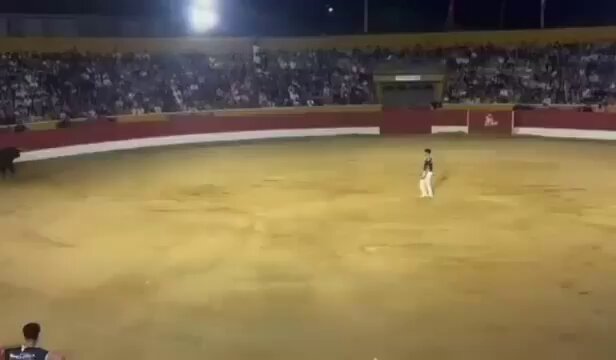 Se va la luz en la plaza de toros justo cuando el toro corría hacia el recortador.