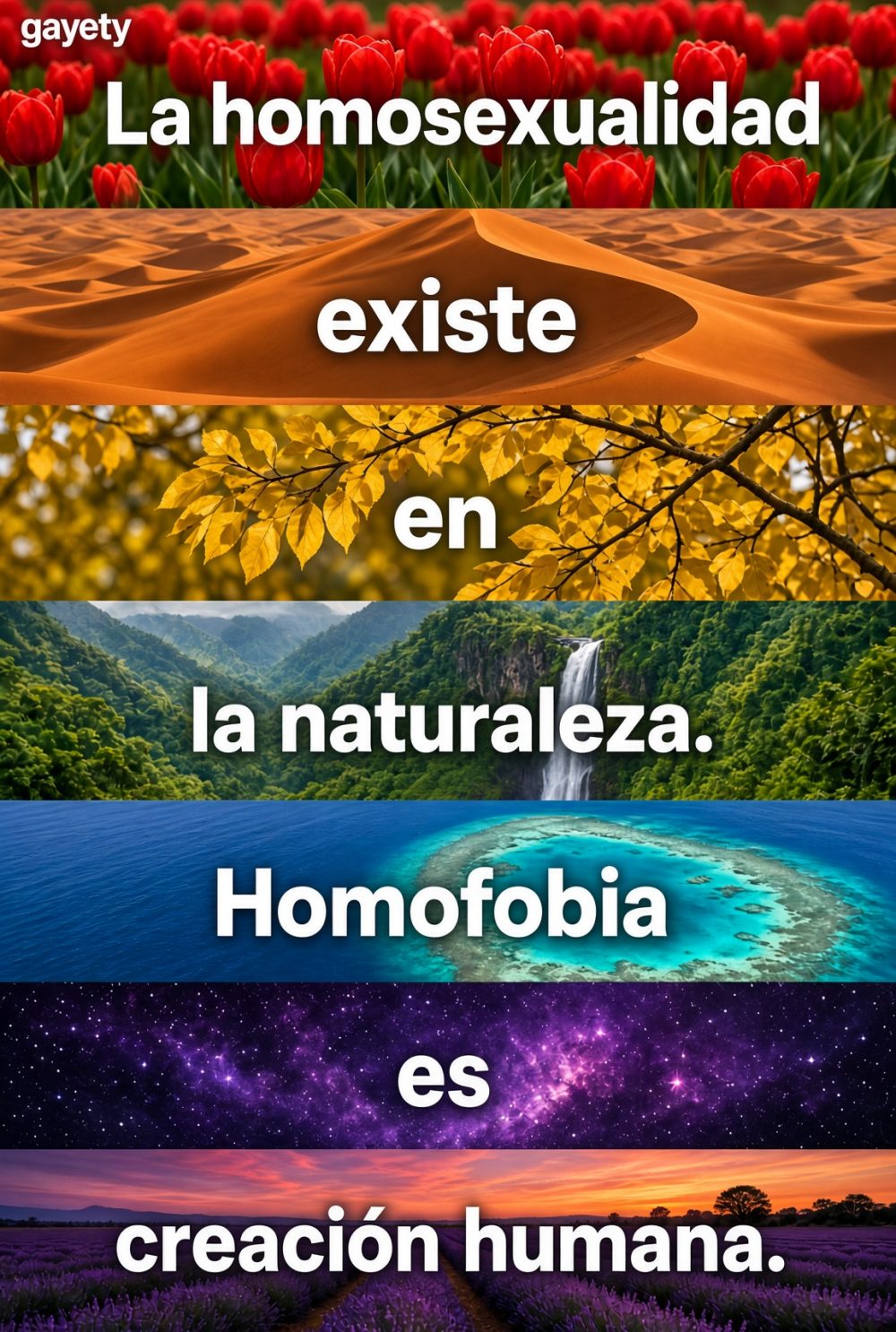 "La homosexualidad existe en la naturaleza"