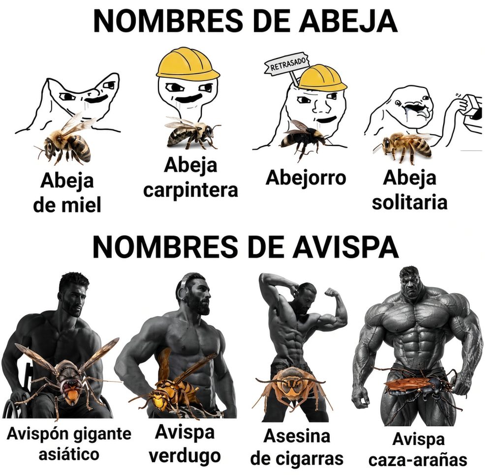 Las avispas se hacen respetar.