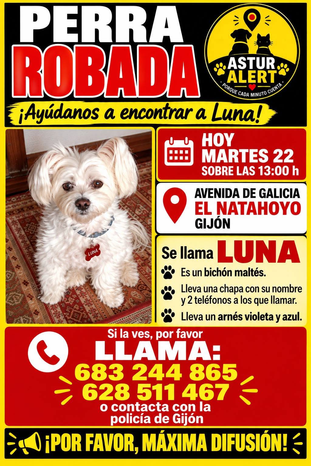 Una mujer ha robado un perro en Gijón.