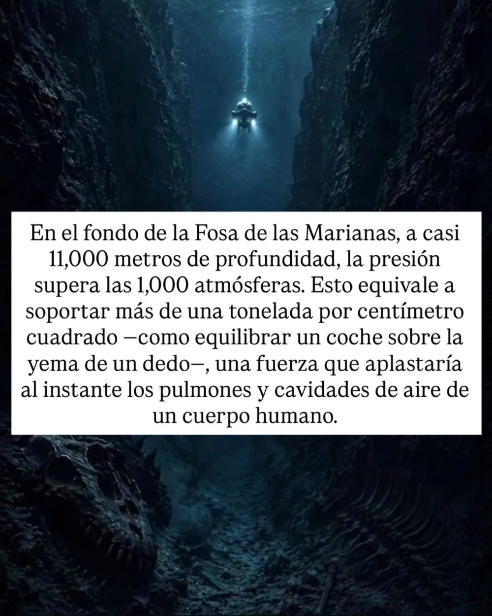 9 razones por las que el océano da más miedo que el espacio.