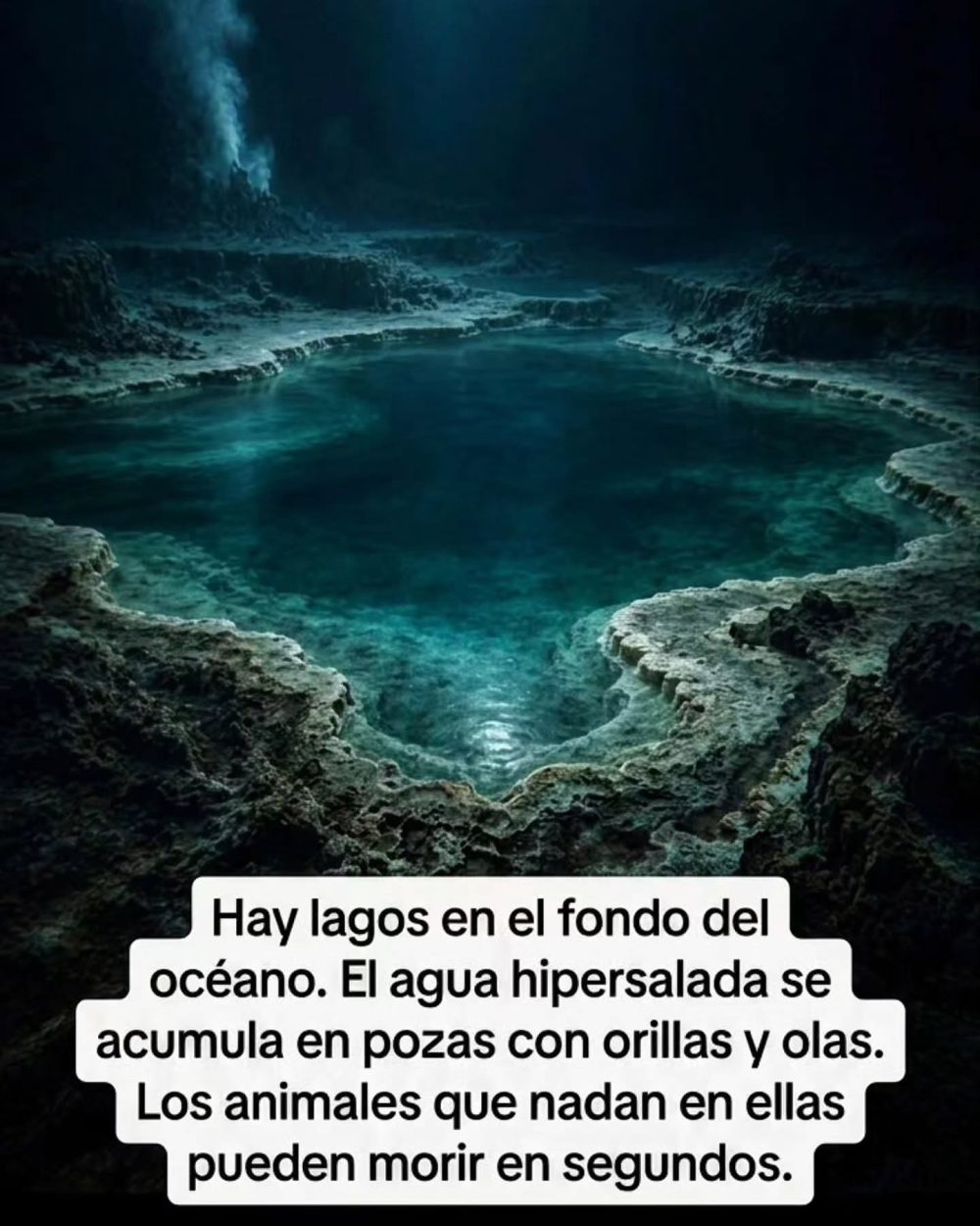 9 razones por las que el océano da más miedo que el espacio.