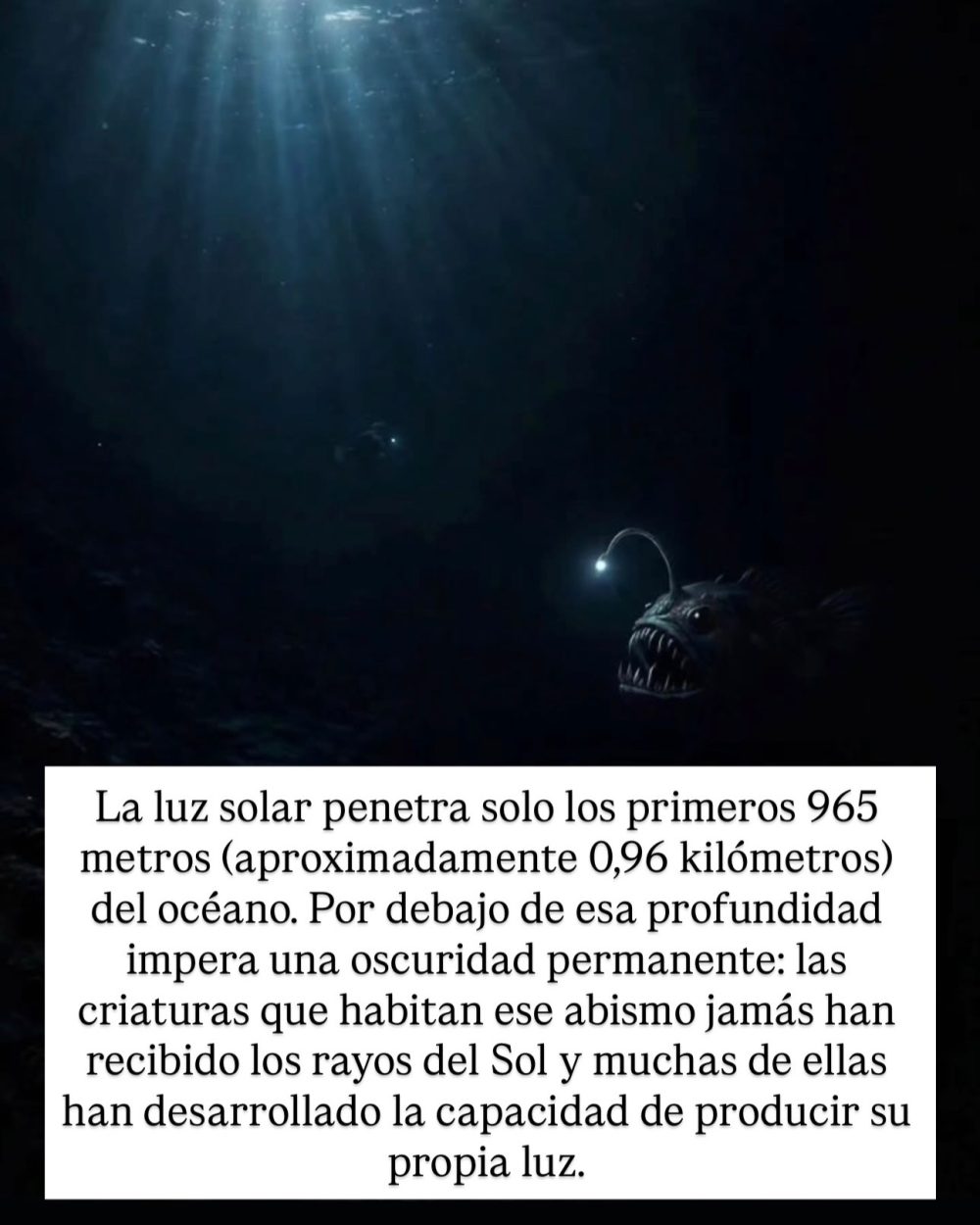 9 razones por las que el océano da más miedo que el espacio.