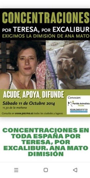Casi movilizan a todo un país por “Excalibur”