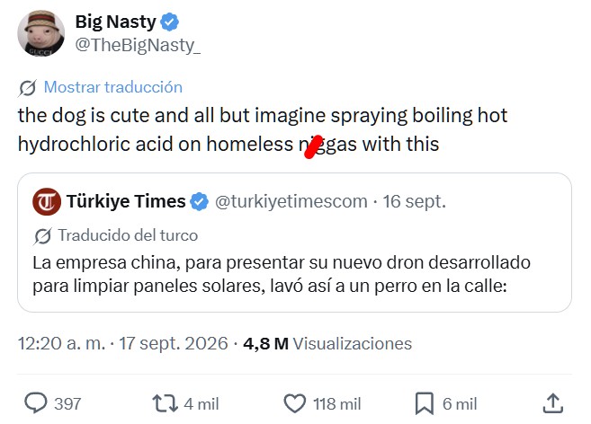 Una empresa china muestra las capacidades de su recién desarrollado dron de limpieza de paneles solares usándolo para lavar a un perro callejero.
