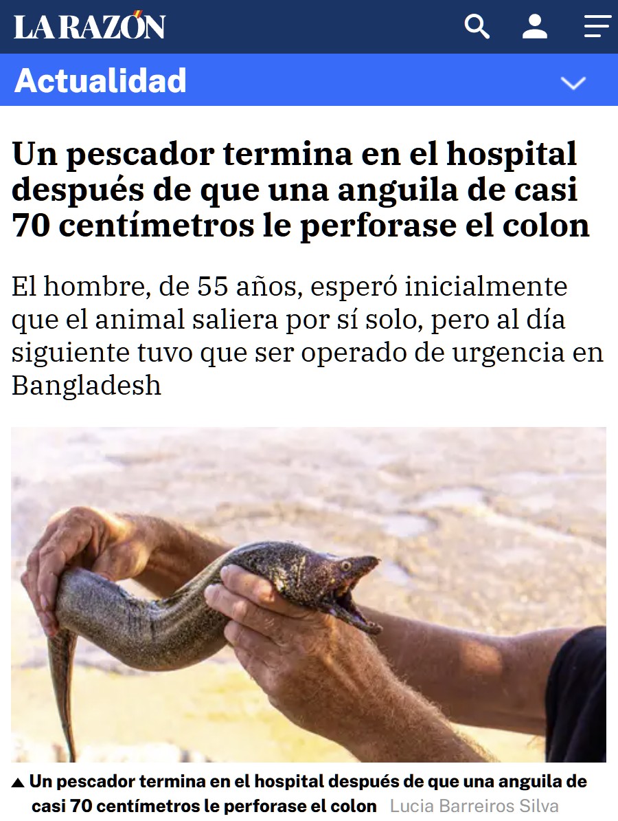 Me meteré una anguila por el buyate... ¿Qué podría salir mal?