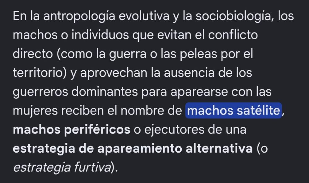 Atentos a este pájaro.