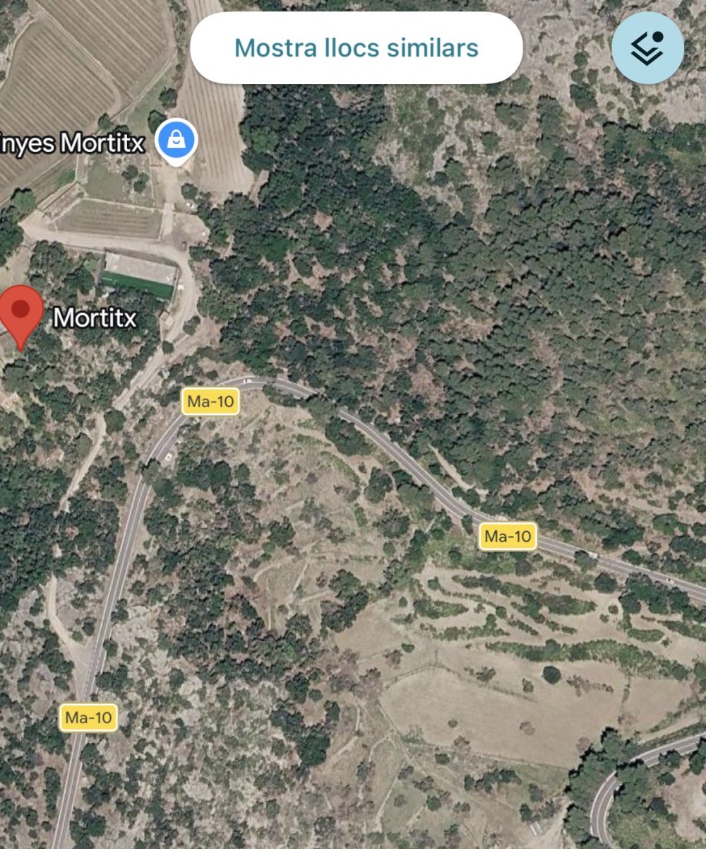 Así quedó el coche del alemán que ha perdido la vida durante un rallye en Mallorca.