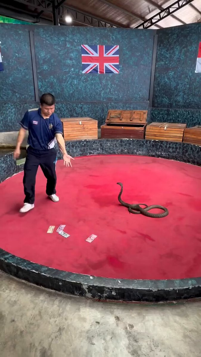 Atentos a la última mordedura.