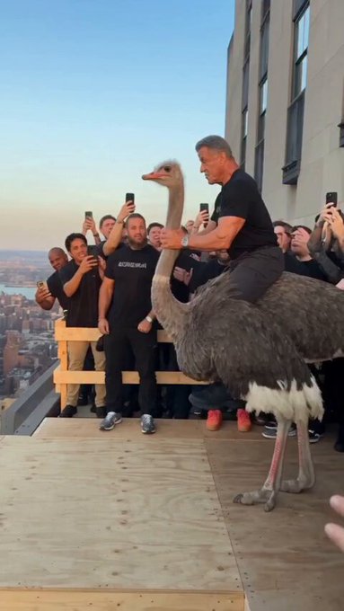 Sylvester Stallone sigue subiendo la apuesta para demostrar que está en plena forma a sus 80 años.