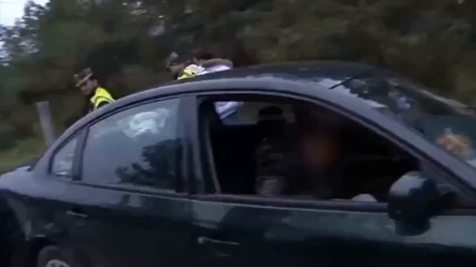 Pim pam toma toma falangitos.