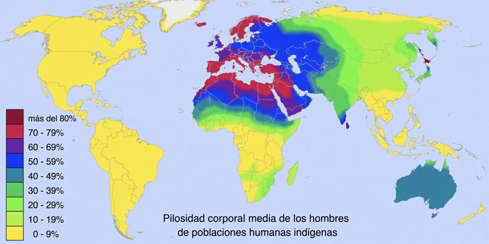 Distribución del Vello Corporal Masculino en Poblaciones Humanas Indígenas de Todo el Mundo