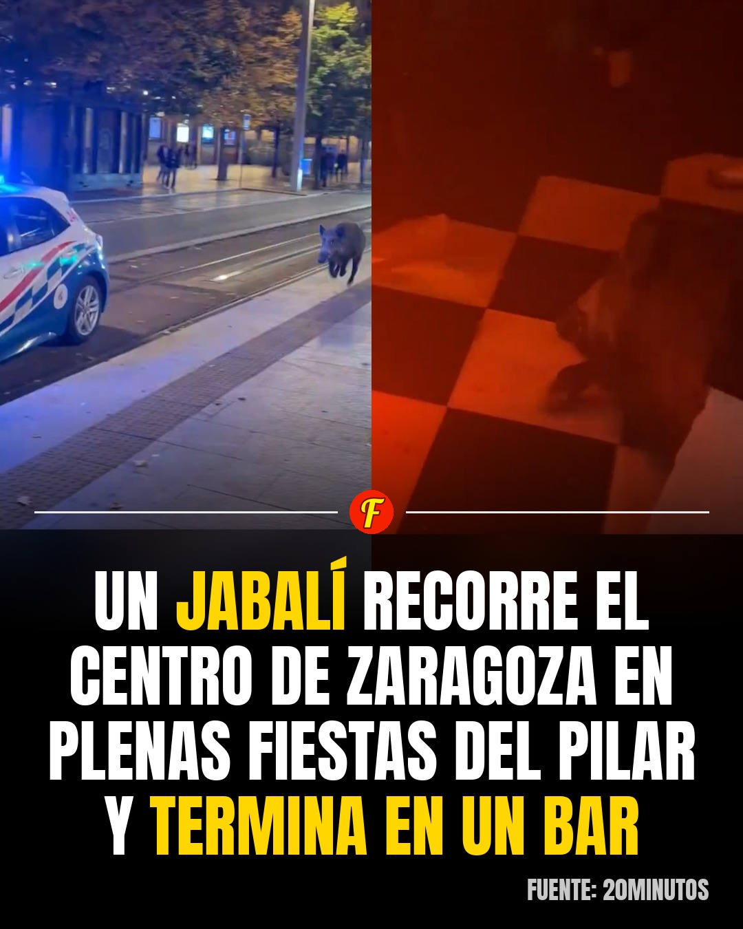 Imagina estar en una discoteca y que de repente a tu lado aparezca UN JABALÍ