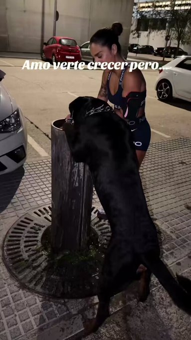Si me votáis aprobaré la cadena perpetua para la gente que deje a sus perros hacer esto (y para los que usen estas fuentes para lavarse los pies).