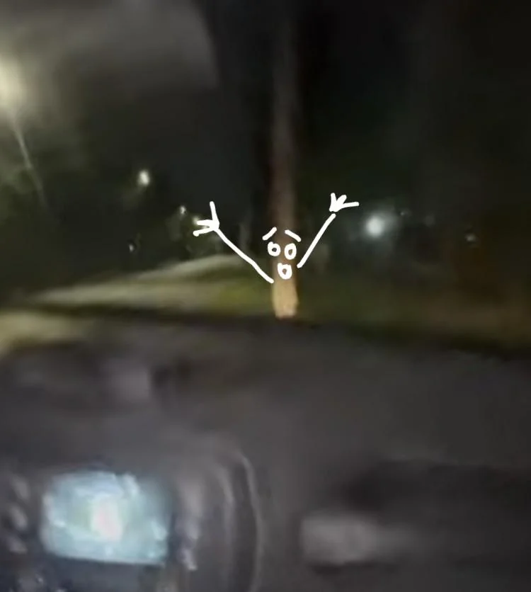 Pillaré una curva a 180km/h con un Jeep Renegade... ¿Qué podría salir mal?